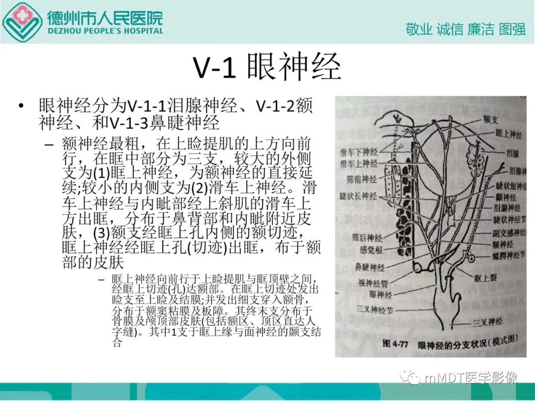影像PPT - 【PPT】绕出崎岖孔孔道—三叉神经的颅底走形-9