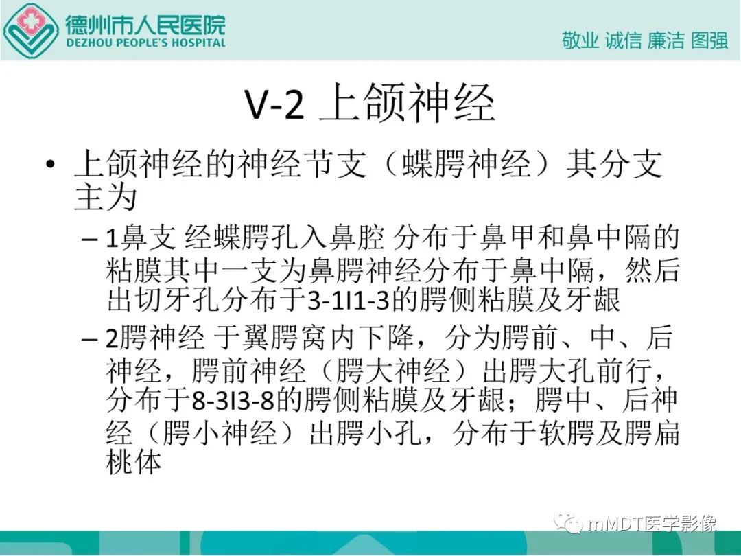 影像PPT - 【PPT】绕出崎岖孔孔道—三叉神经的颅底走形-17