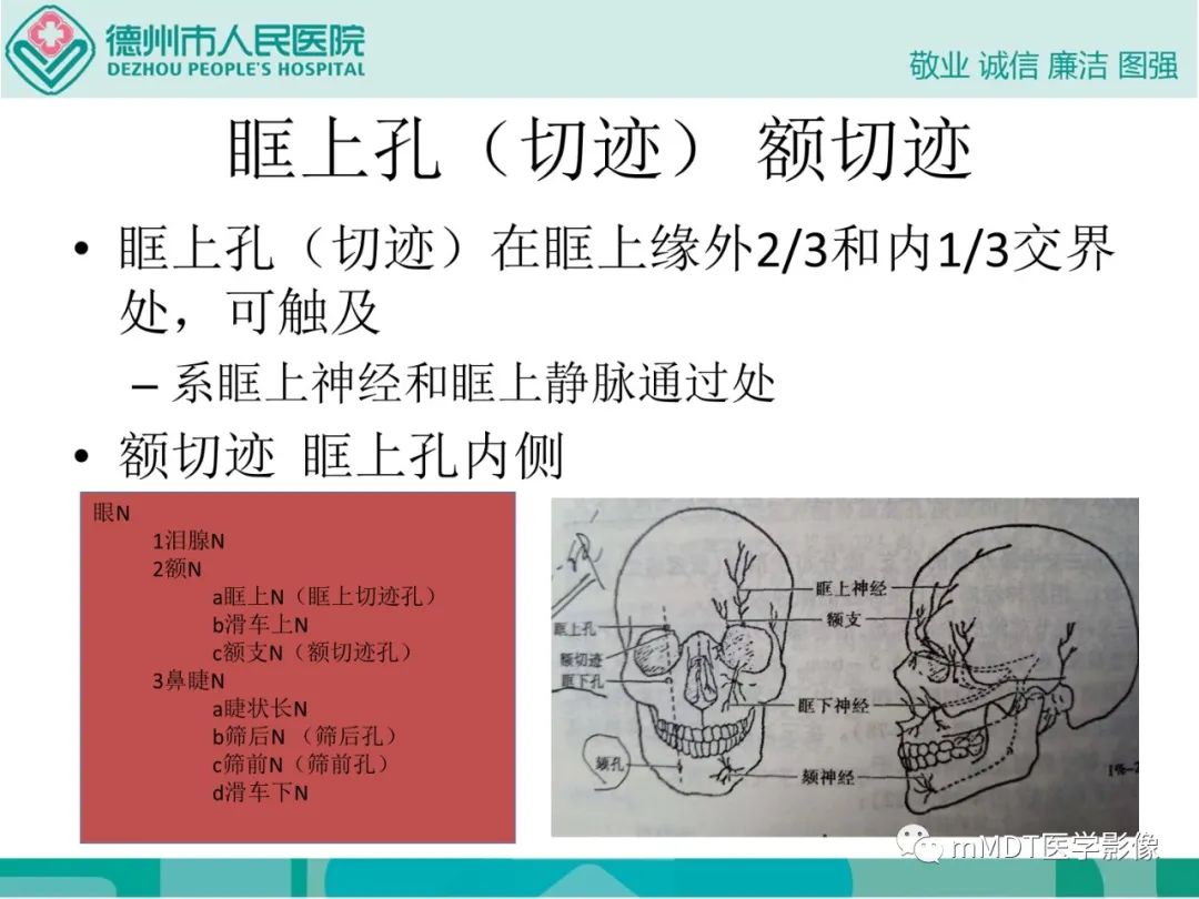 影像PPT - 【PPT】绕出崎岖孔孔道—三叉神经的颅底走形-47