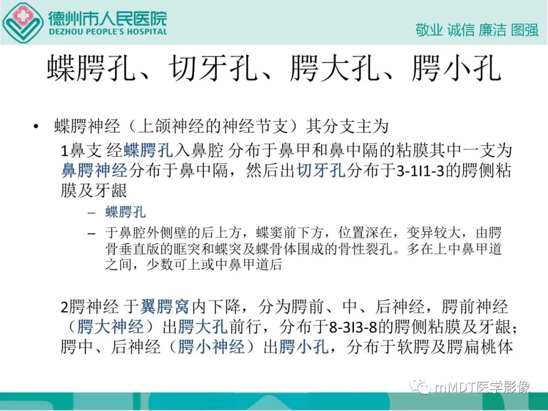 影像PPT - 【PPT】绕出崎岖孔孔道—三叉神经的颅底走形-84