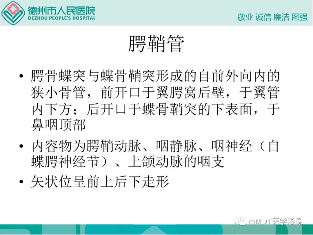 影像PPT - 【PPT】绕出崎岖孔孔道—三叉神经的颅底走形-103