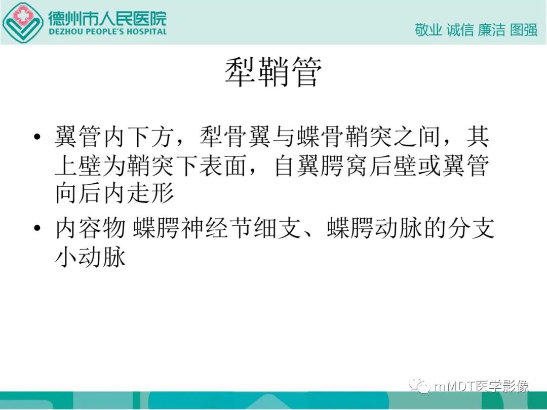 影像PPT - 【PPT】绕出崎岖孔孔道—三叉神经的颅底走形-108