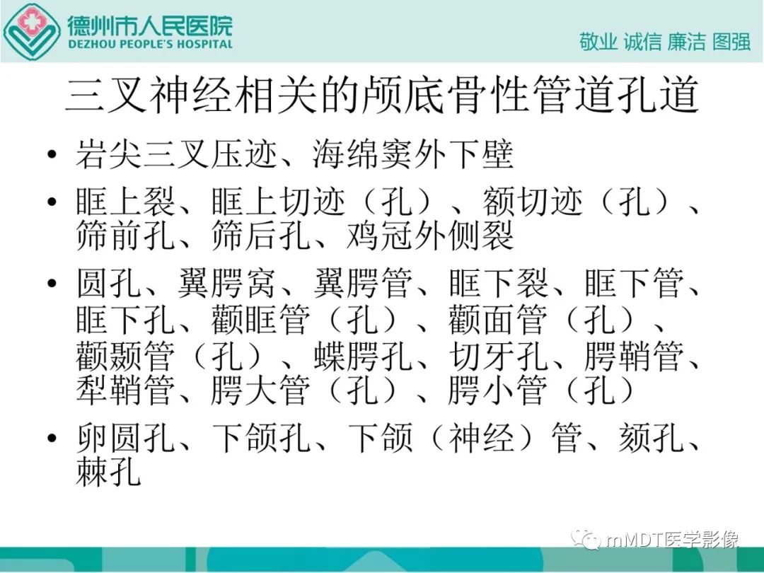 影像PPT - 【PPT】绕出崎岖孔孔道—三叉神经的颅底走形-136
