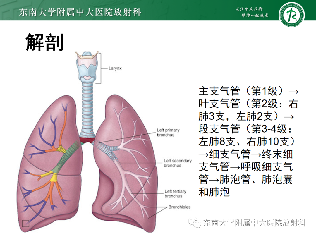 影像PPT - 【PPT】先天性支气管闭锁-7
