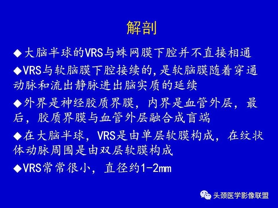 影像PPT - 【PPT】血管周围间隙的MR诊断及鉴别诊断-3