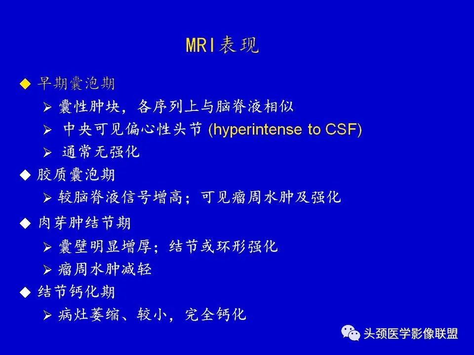 影像PPT - 【PPT】血管周围间隙的MR诊断及鉴别诊断-32