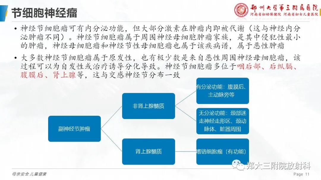 影像PPT - 【病例】腹膜后节细胞神经瘤1例影像分析-11