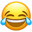 影像PPT - 鼻骨骨折的影像诊断-11