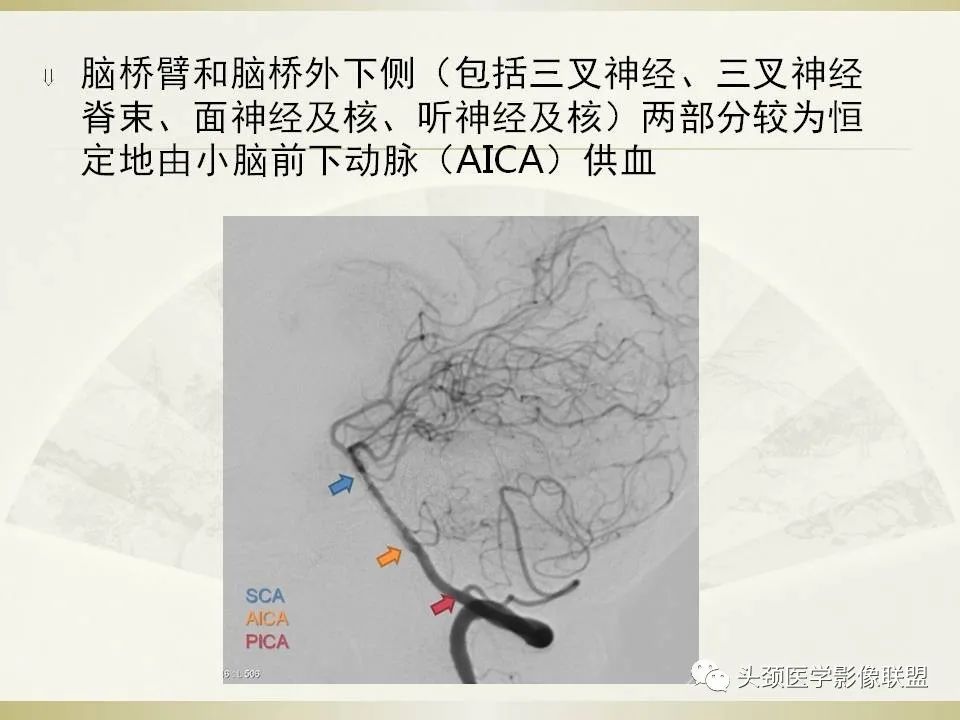影像PPT - 【PPT】脑桥病变的定性诊断与影像学特点-14