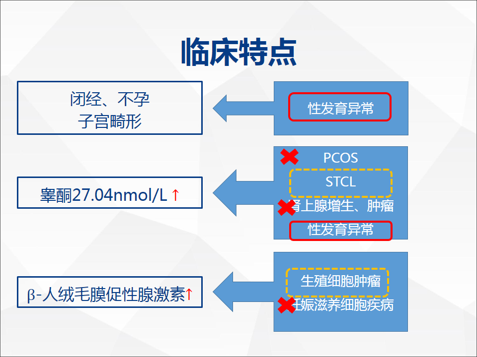 影像PPT - 【病例】睾丸精原细胞瘤1例CT及MR-17