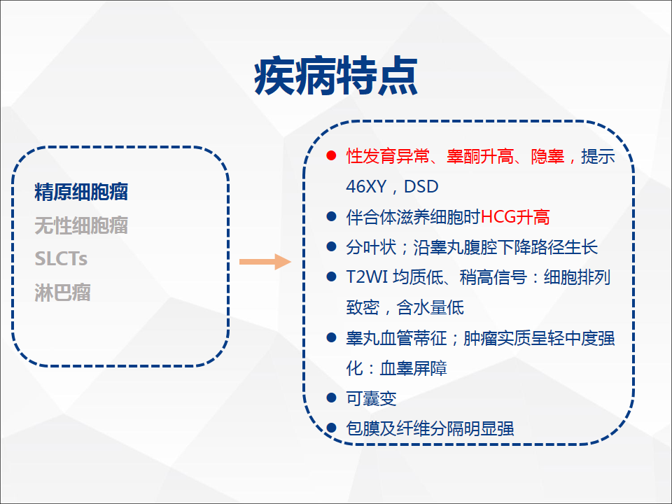 影像PPT - 【病例】睾丸精原细胞瘤1例CT及MR-20