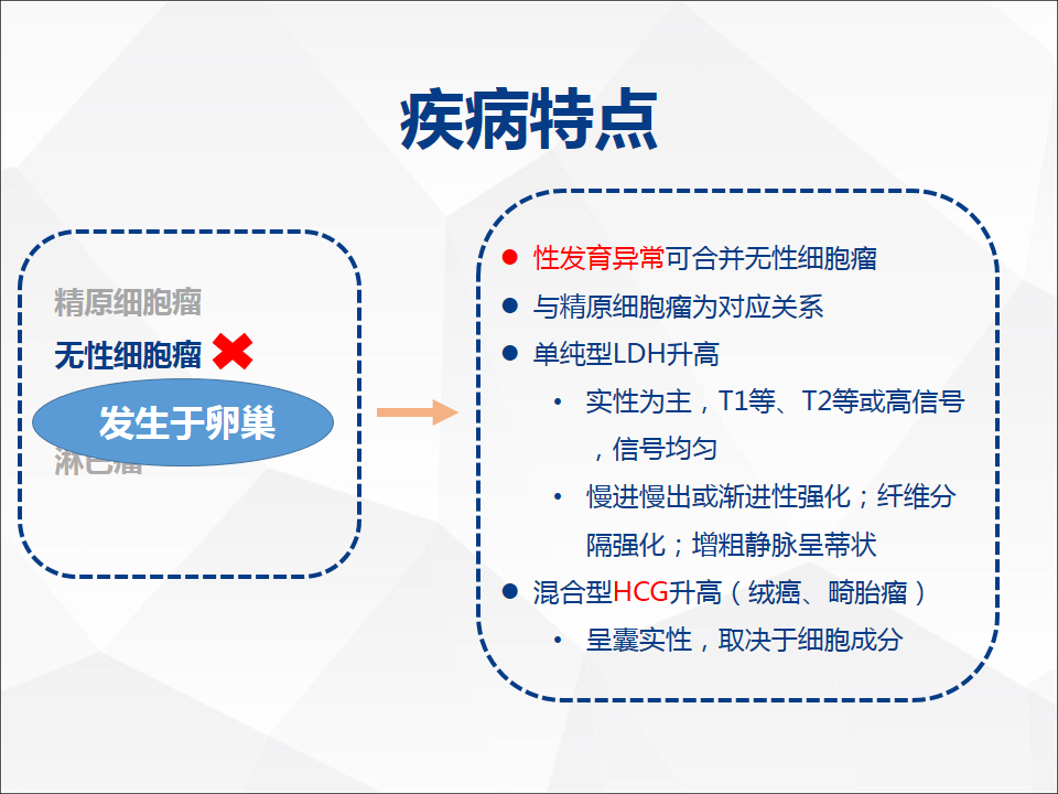 影像PPT - 【病例】睾丸精原细胞瘤1例CT及MR-22