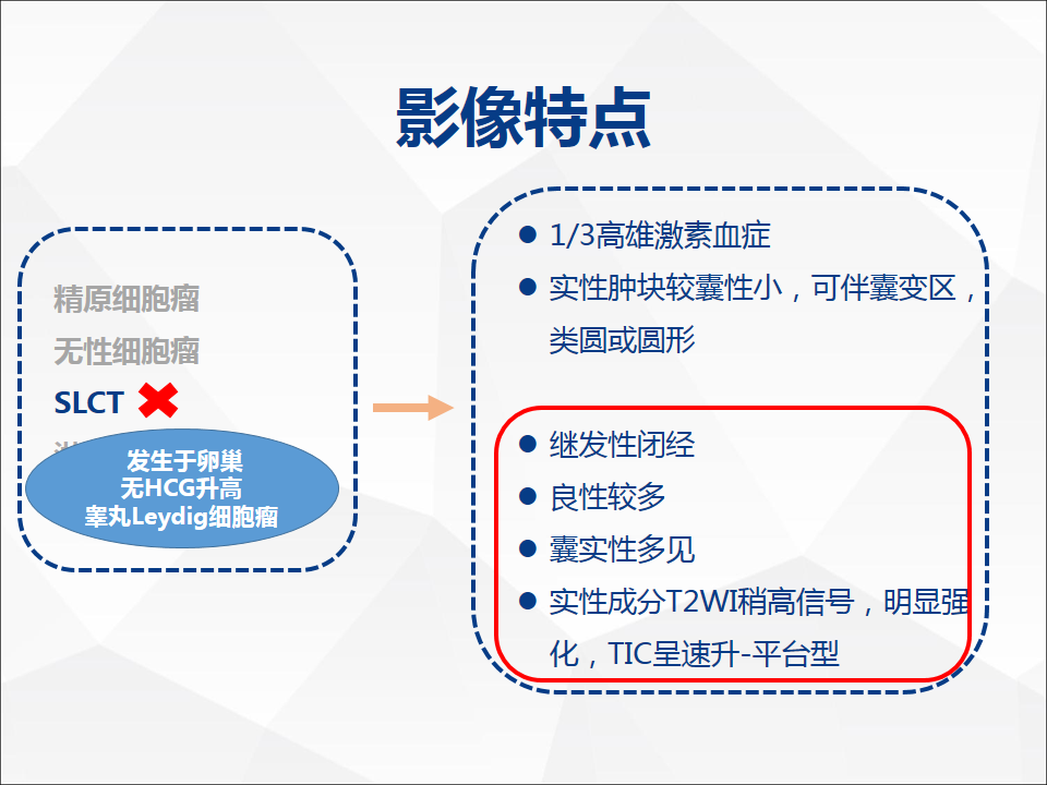 影像PPT - 【病例】睾丸精原细胞瘤1例CT及MR-24