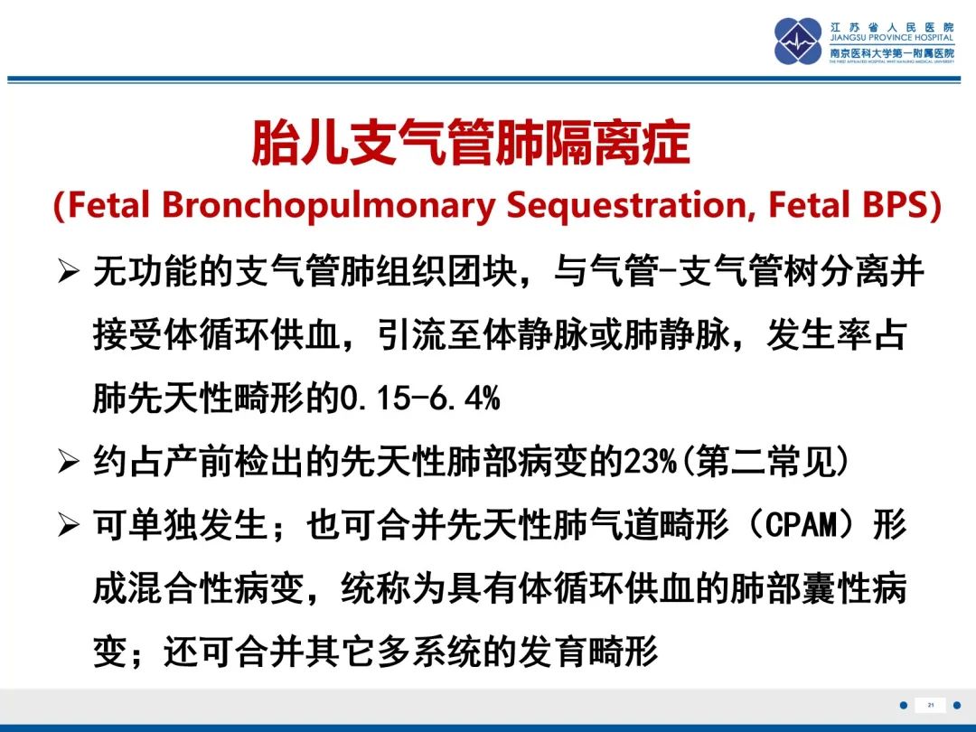 影像PPT - 【PPT】胎儿支气管肺隔离症-22