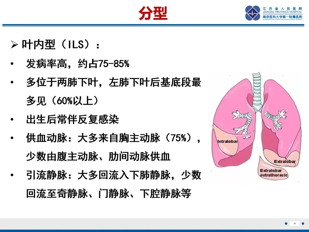 影像PPT - 【PPT】胎儿支气管肺隔离症-25