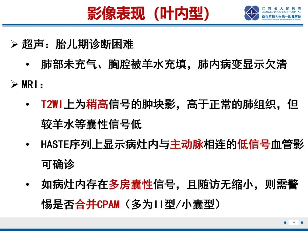 影像PPT - 【PPT】胎儿支气管肺隔离症-30