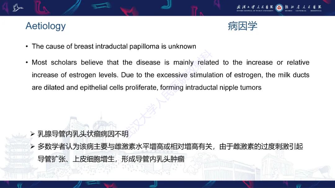 影像PPT - 【PPT】乳腺导管内乳头状瘤影像诊断-8