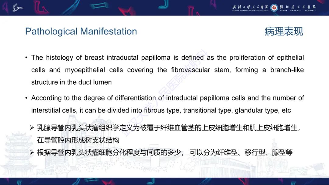 影像PPT - 【PPT】乳腺导管内乳头状瘤影像诊断-10