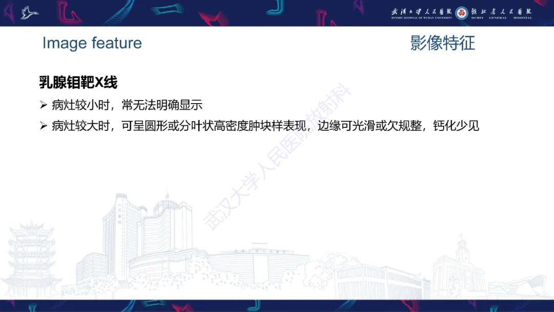 影像PPT - 【PPT】乳腺导管内乳头状瘤影像诊断-14