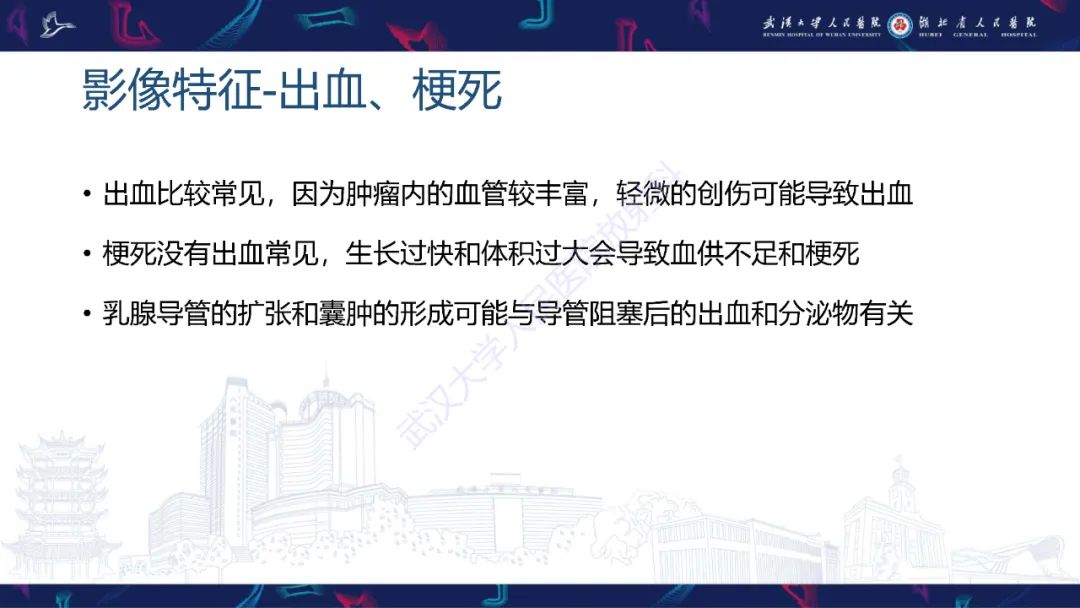 影像PPT - 【PPT】乳腺导管内乳头状瘤影像诊断-21