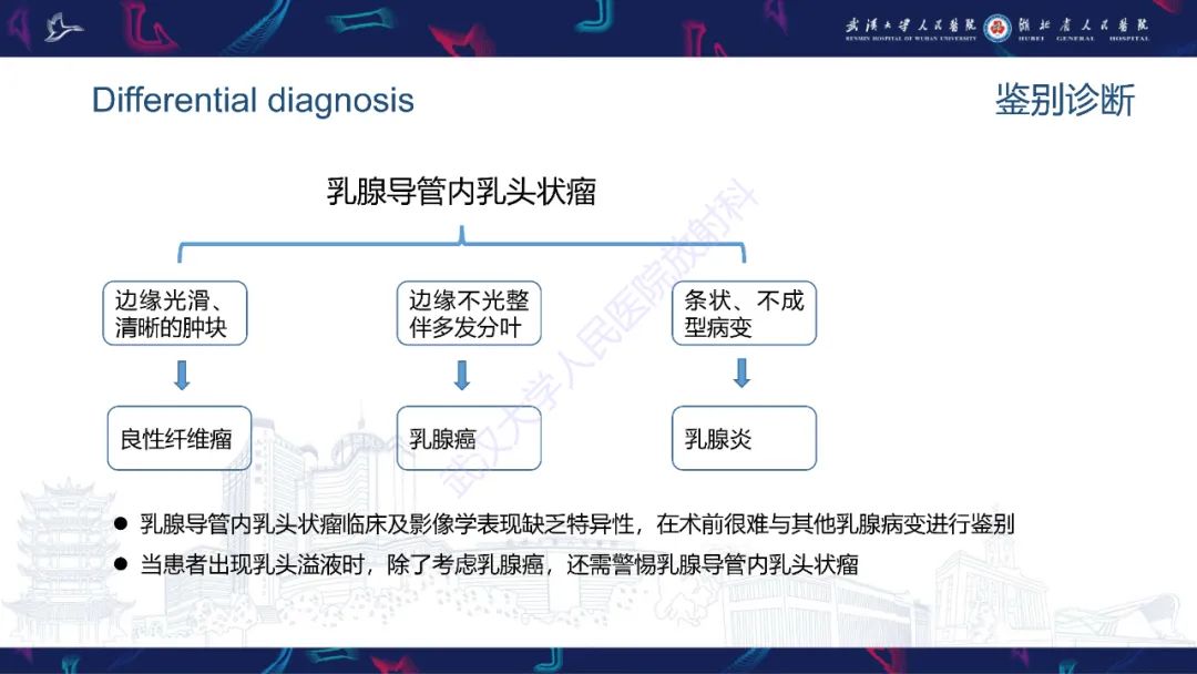 影像PPT - 【PPT】乳腺导管内乳头状瘤影像诊断-24