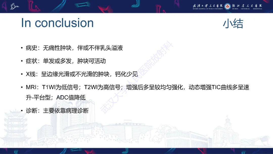 影像PPT - 【PPT】乳腺导管内乳头状瘤影像诊断-26