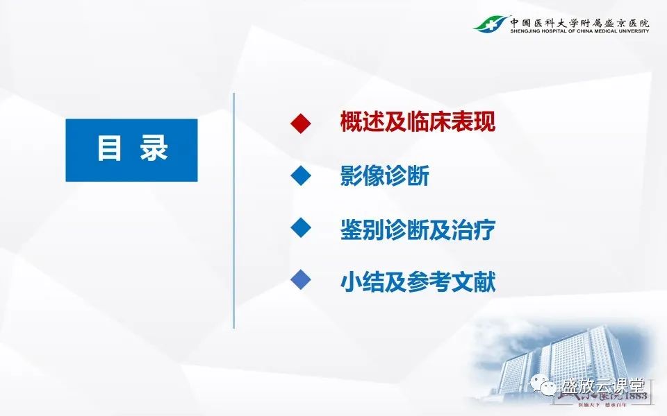 影像PPT - 【PPT】肺隔离症的影像分析-2