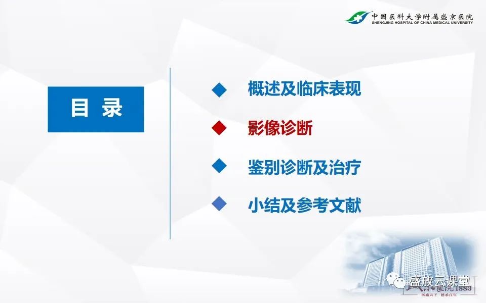 影像PPT - 【PPT】肺隔离症的影像分析-8