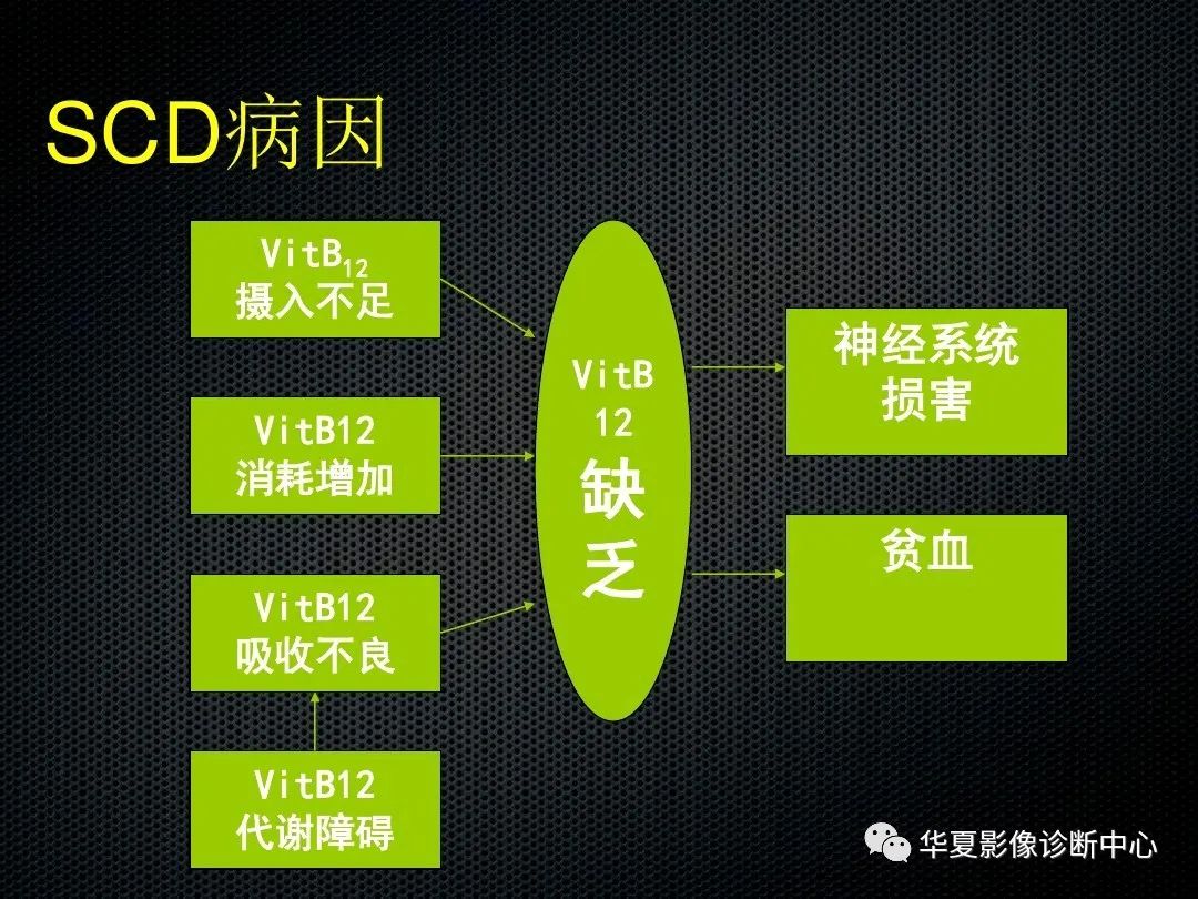 影像PPT - 【PPT】脊髓亚急性联合变性的MRI诊断-8