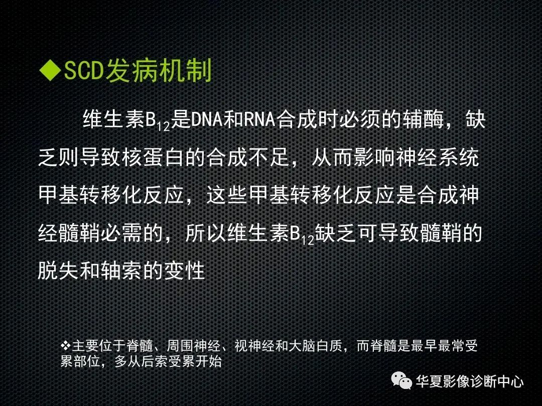 影像PPT - 【PPT】脊髓亚急性联合变性的MRI诊断-9
