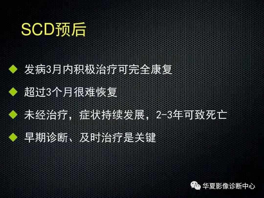 影像PPT - 【PPT】脊髓亚急性联合变性的MRI诊断-26