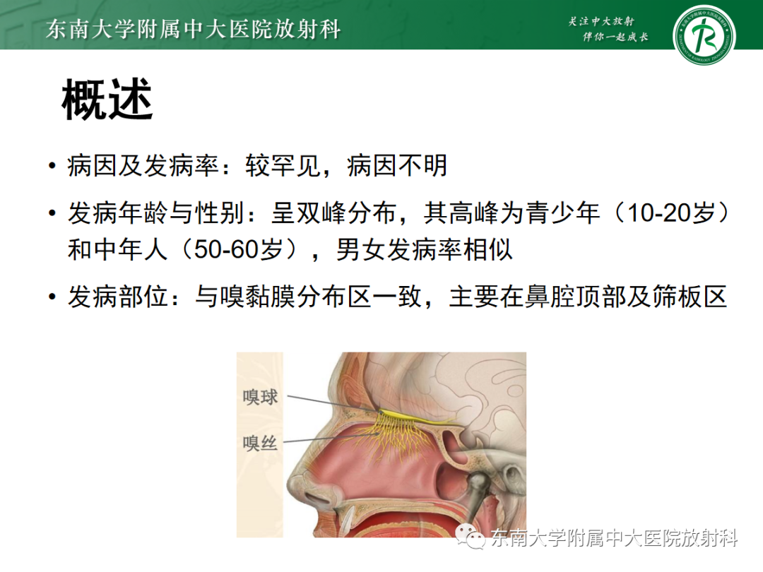影像PPT - 【PPT】嗅神经母细胞瘤-9