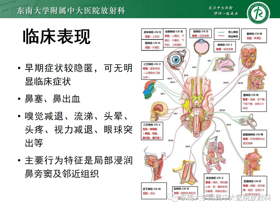 影像PPT - 【PPT】嗅神经母细胞瘤-10