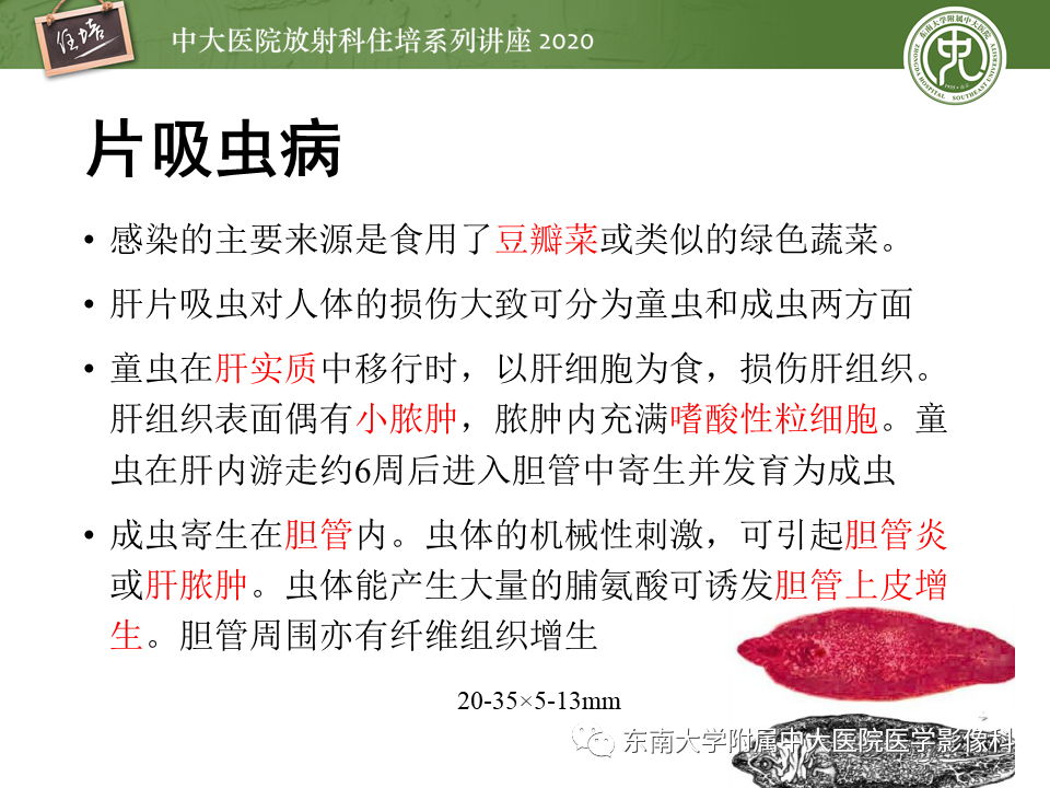 影像PPT - 【PPT】肝脏感染性病变的诊断及鉴别-46