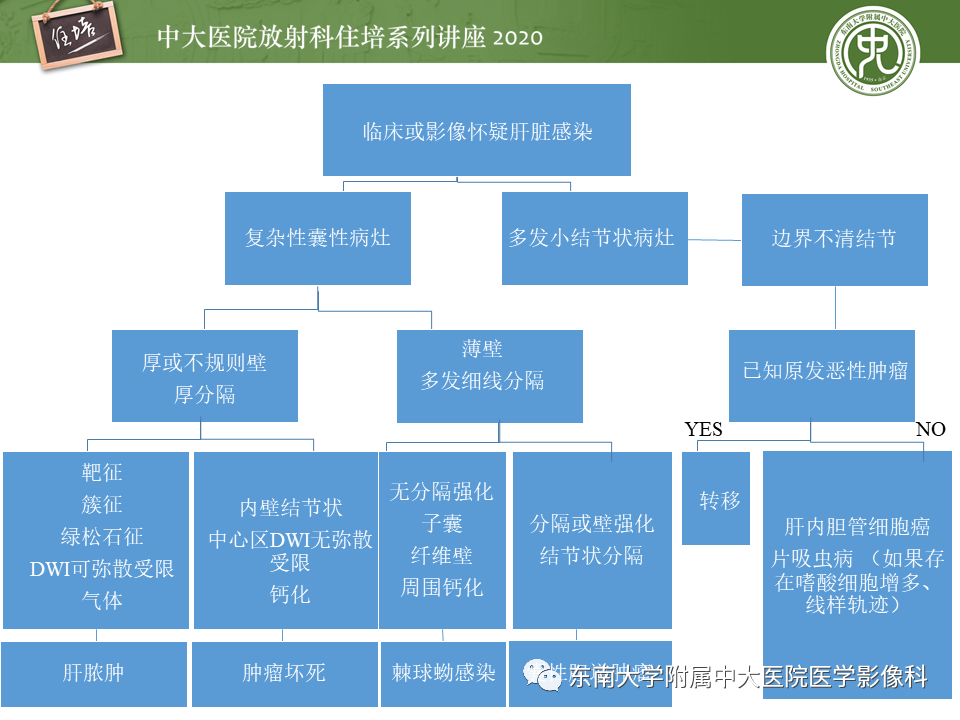 影像PPT - 【PPT】肝脏感染性病变的诊断及鉴别-55