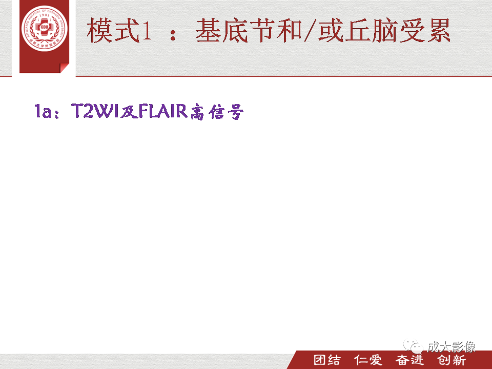 影像PPT - 【PPT】毒性和代谢性脑疾病的影像-14