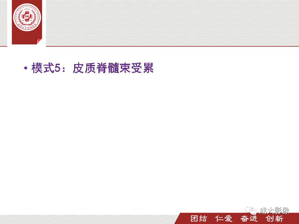 影像PPT - 【PPT】毒性和代谢性脑疾病的影像-36