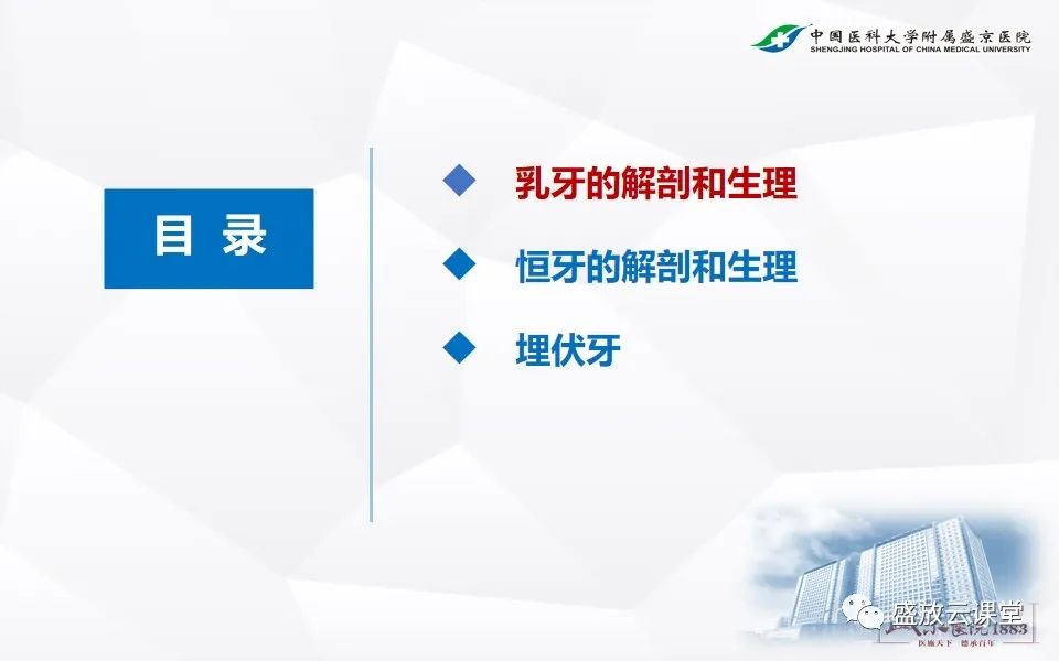 影像PPT - 【PPT】儿童牙齿的解剖和变异-2
