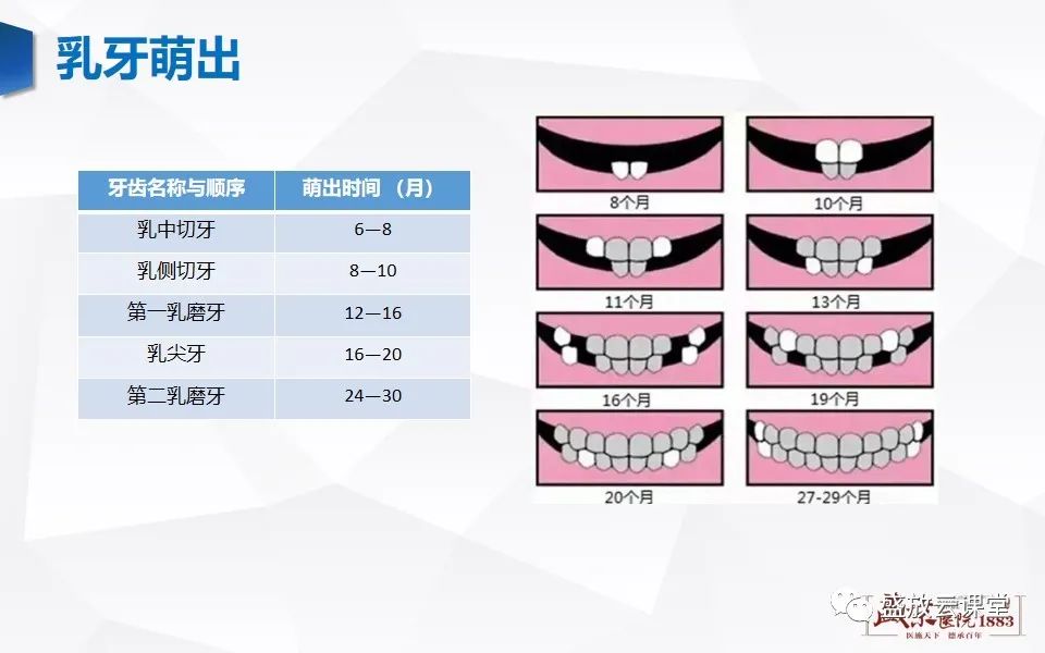 影像PPT - 【PPT】儿童牙齿的解剖和变异-6