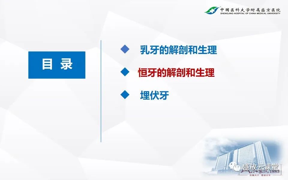 影像PPT - 【PPT】儿童牙齿的解剖和变异-7