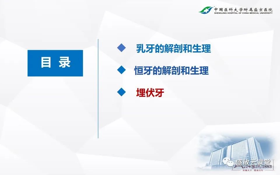 影像PPT - 【PPT】儿童牙齿的解剖和变异-14