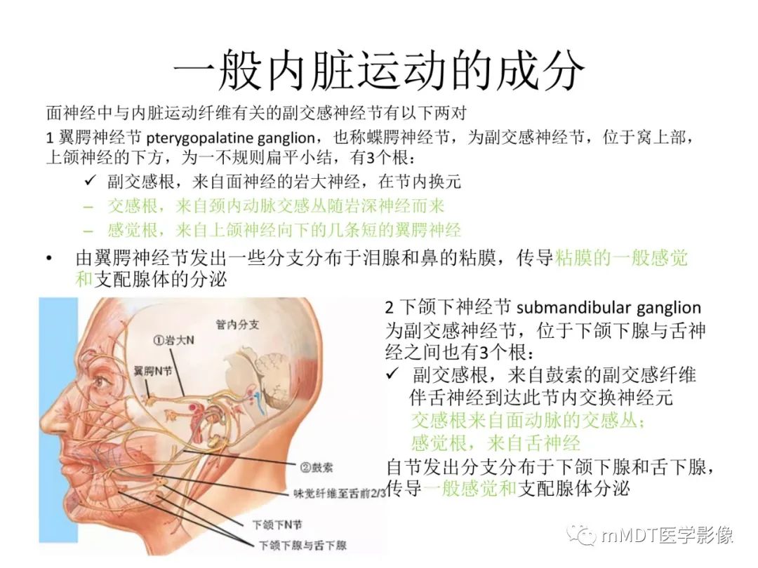 影像PPT - 【PPT】行走在孔道里的面神经-12