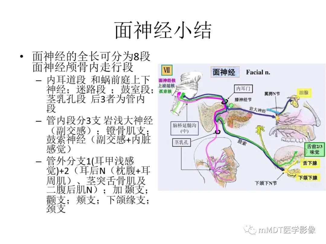 影像PPT - 【PPT】行走在孔道里的面神经-69