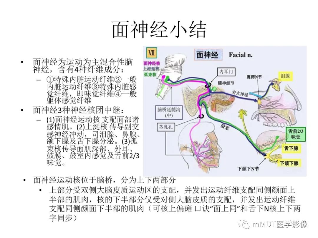 影像PPT - 【PPT】行走在孔道里的面神经-68