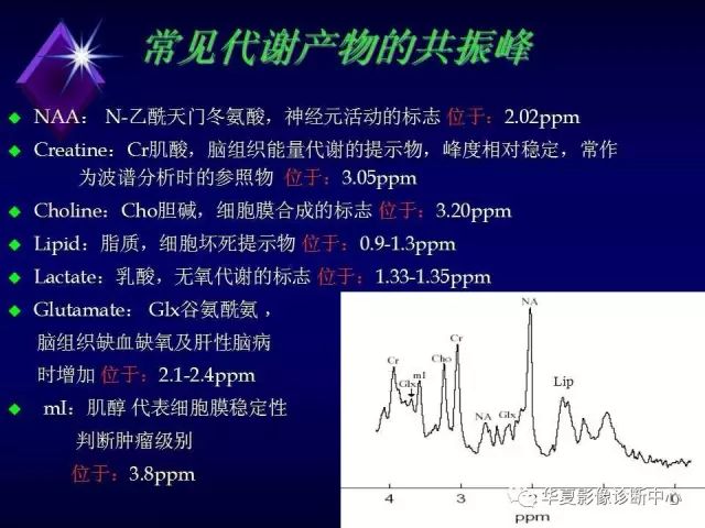 影像PPT - 【PPT】中枢神经系统MRS-3