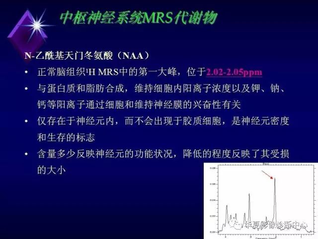 影像PPT - 【PPT】中枢神经系统MRS-4