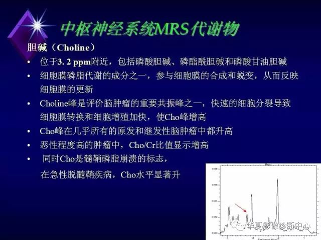 影像PPT - 【PPT】中枢神经系统MRS-6