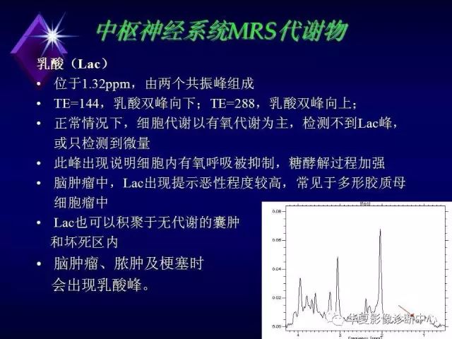 影像PPT - 【PPT】中枢神经系统MRS-7