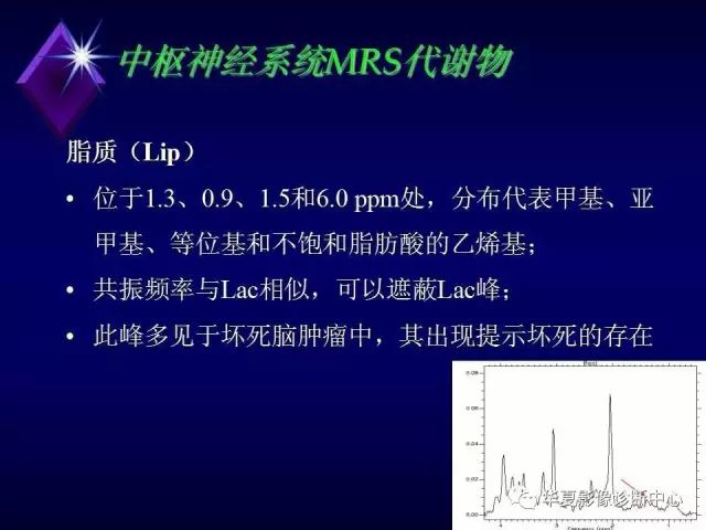 影像PPT - 【PPT】中枢神经系统MRS-8
