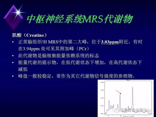 影像PPT - 【PPT】中枢神经系统MRS-5